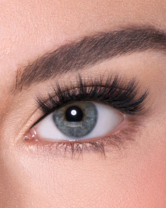 Lilly Lashes | Everyday | Miami | Eye Crop